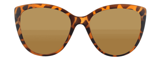 DiDi - Polarized Colorful Fashion Tortoise Iced (Amber)