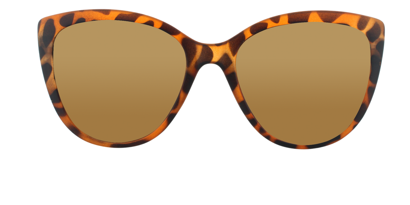 DiDi - Polarized Colorful Fashion Tortoise Iced (Amber)