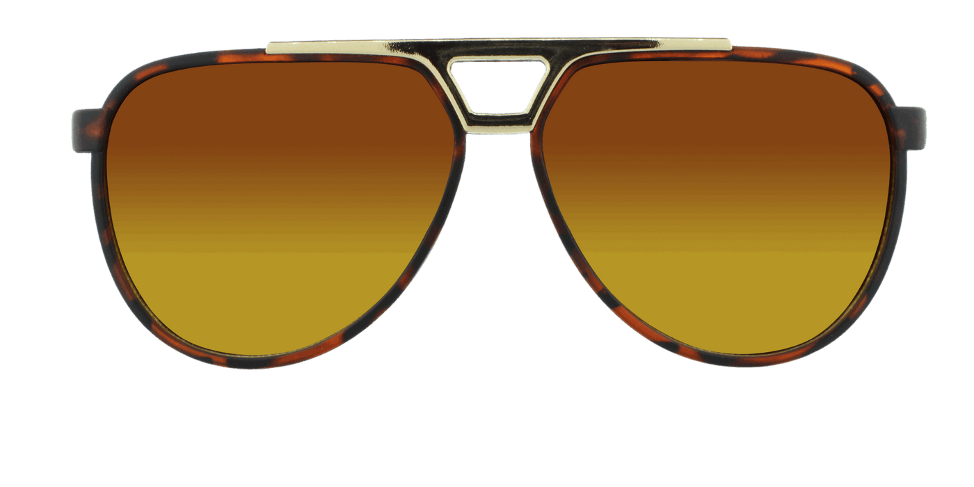 Centurion - Polarized Modified Aviator Tortoise Iced w/ Gold (Amber)