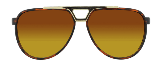 Centurion - Modified Aviator Tortoise Iced w/ Gold (Amber)