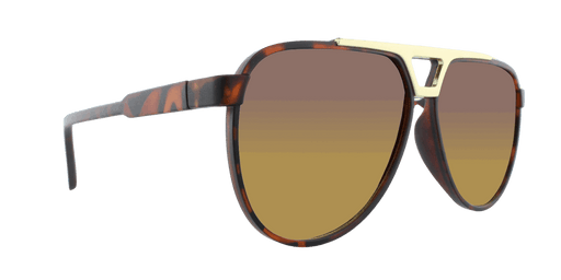 Centurion - Polarized Modified Aviator Tortoise Iced w/ Gold (Amber)