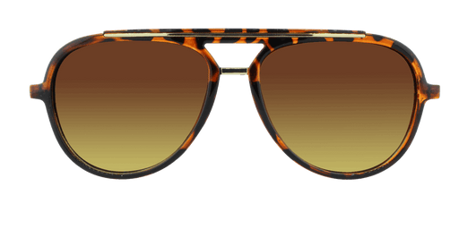 Baron - Polarized Modified Aviator Tortoise Shell w/ Gold (Amber)