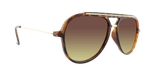 Baron - Modified Aviator Tortoise Shell w/ Gold (Amber)