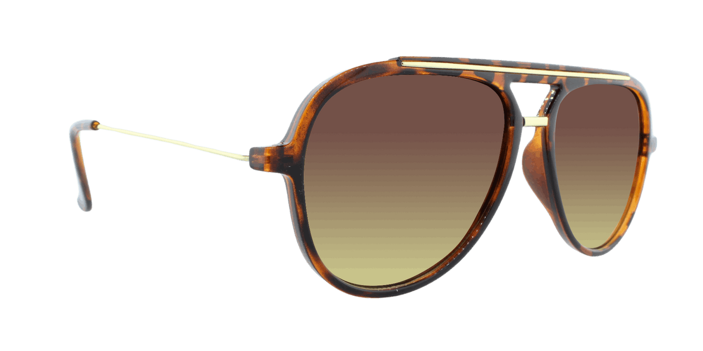 Baron - Polarized Modified Aviator Tortoise Shell w/ Gold (Amber)