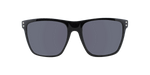 Majesty - Polarized Classic Retro Black Polished (Dark Smoked)