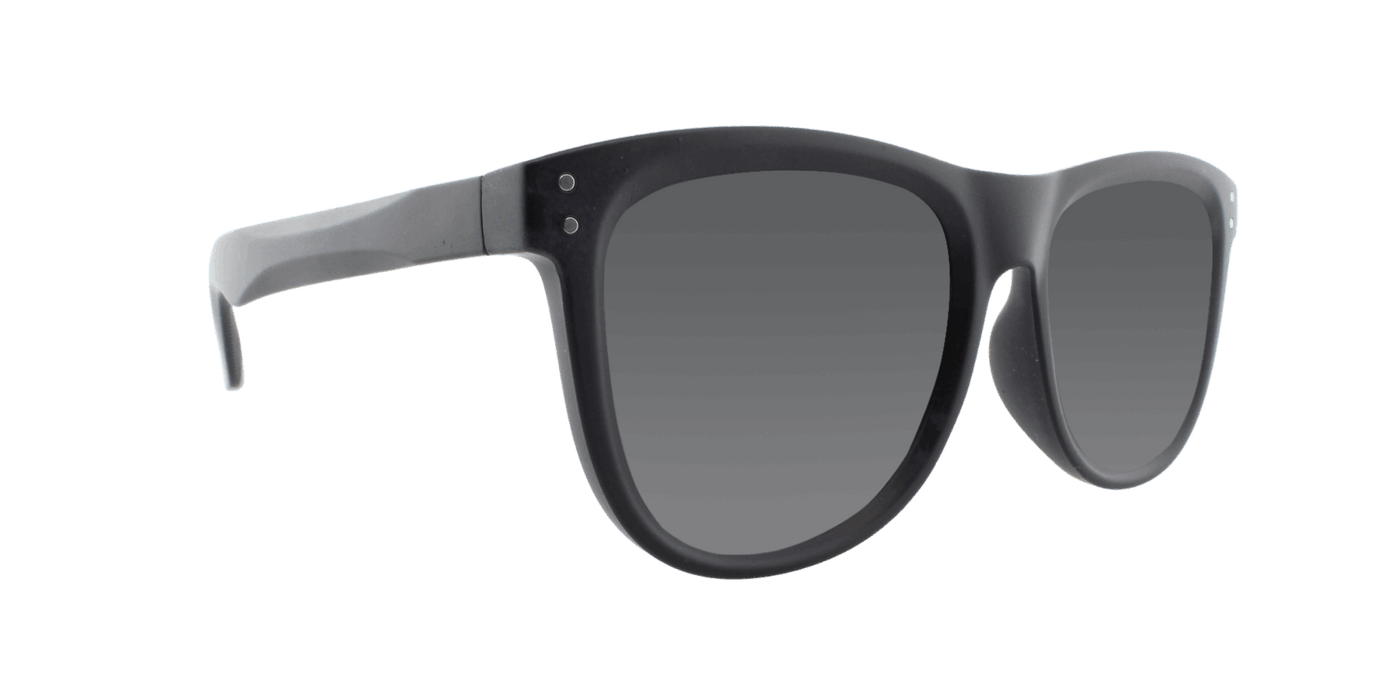 Legacy - Polarized Classic Retro