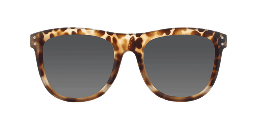 Legacy - Classic Retro Tortoise Iced Matte (Dark Smoked)