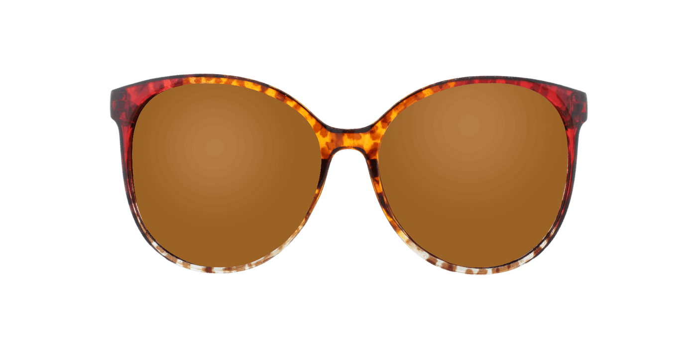 Danielle - Polarized Oversized Fashion Amber Demi (Amber)