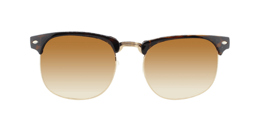 Aware- Polarized Essential Classic Tortoise Shell (Brown Amber Gradient)