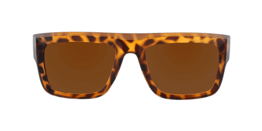 Echo - Polarized Modified Retro Tortoise (Dark Brown)