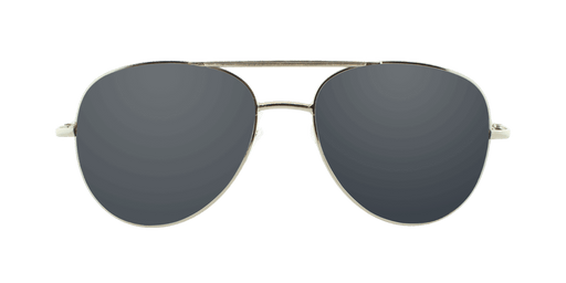 Fuselage - Polarized Full-Size Aviator Silver (Dark Smoked)
