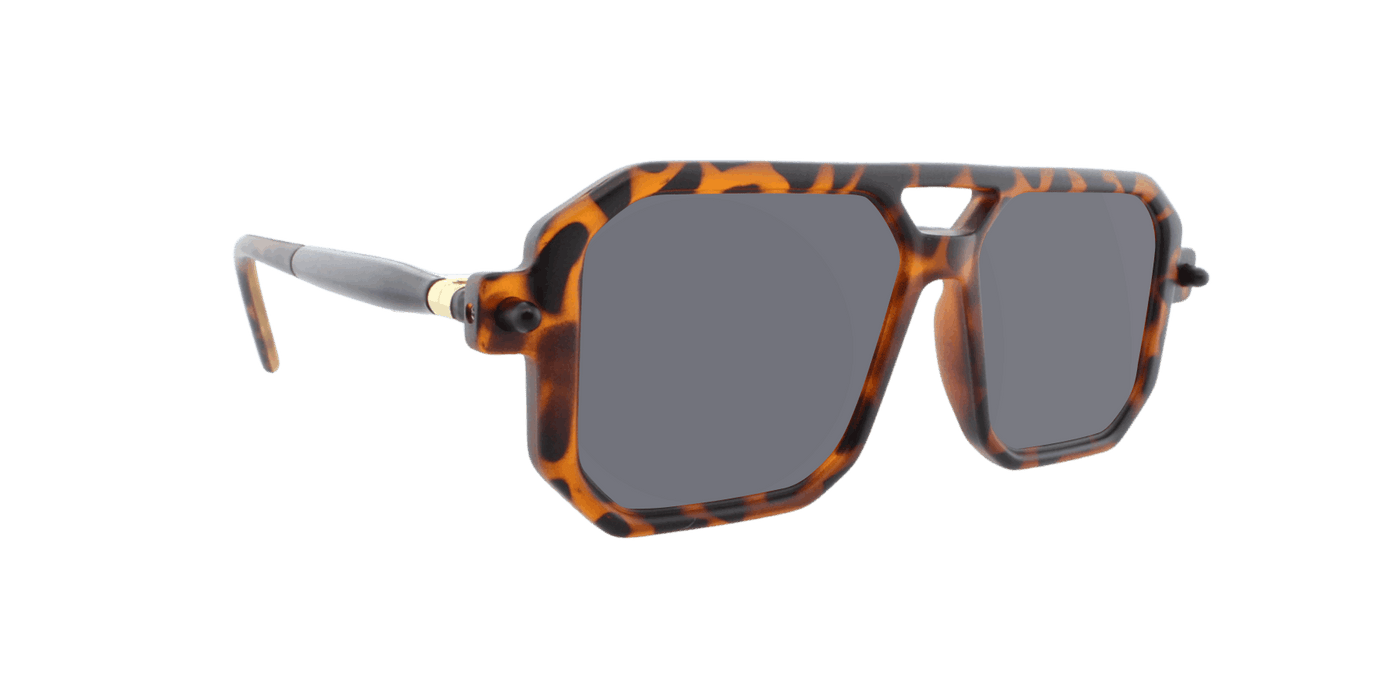 Voyager - Modified Aviator.