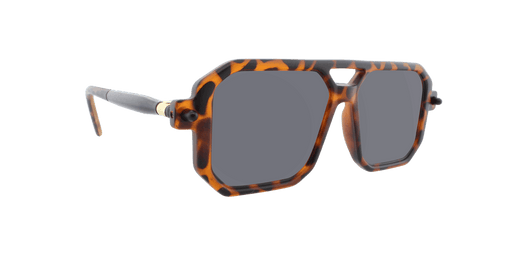 Voyager - Modified Aviator.