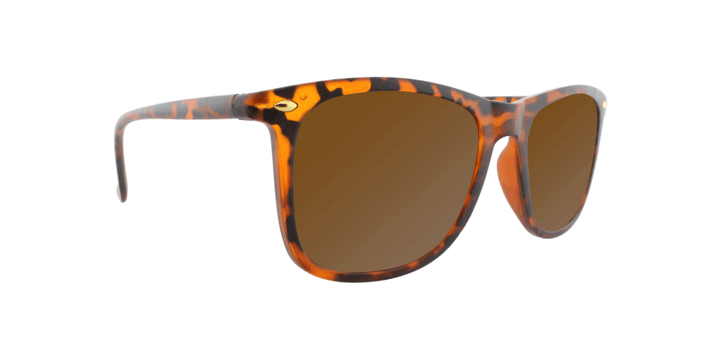 Throwback - Polarized Classic Standard Spring Hinge Tortoise Shell Iced (Dark Brown)