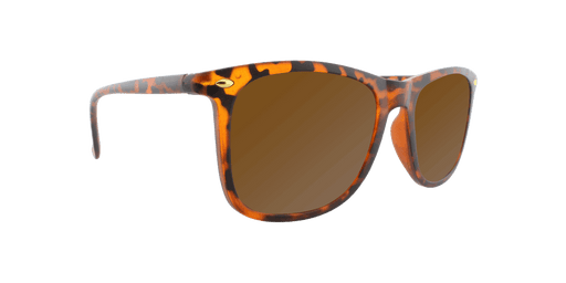 Throwback - Polarized Classic Standard Spring Hinge Tortoise Shell Iced (Dark Brown)