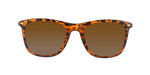 Throwback - Polarized Classic Standard Spring Hinge Tortoise Shell Iced (Dark Brown)