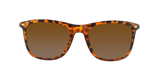 Throwback - Polarized Classic Standard Spring Hinge Tortoise Shell Iced (Dark Brown)