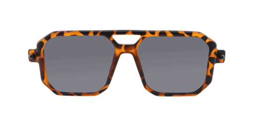 Voyager - Modified Aviator Tortoise w/ Black (Smoked).