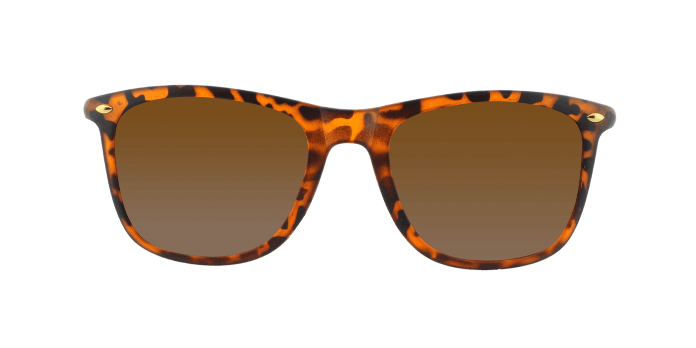 Throwback - Classic Standard Spring Hinge Tortoise Shell Iced (Dark Brown)
