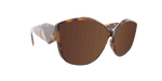 Lush - Polarized Colorful Fashion.