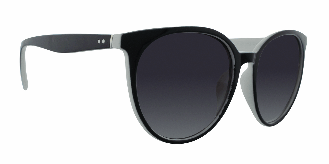 Paige - Polarized Classic Fashion