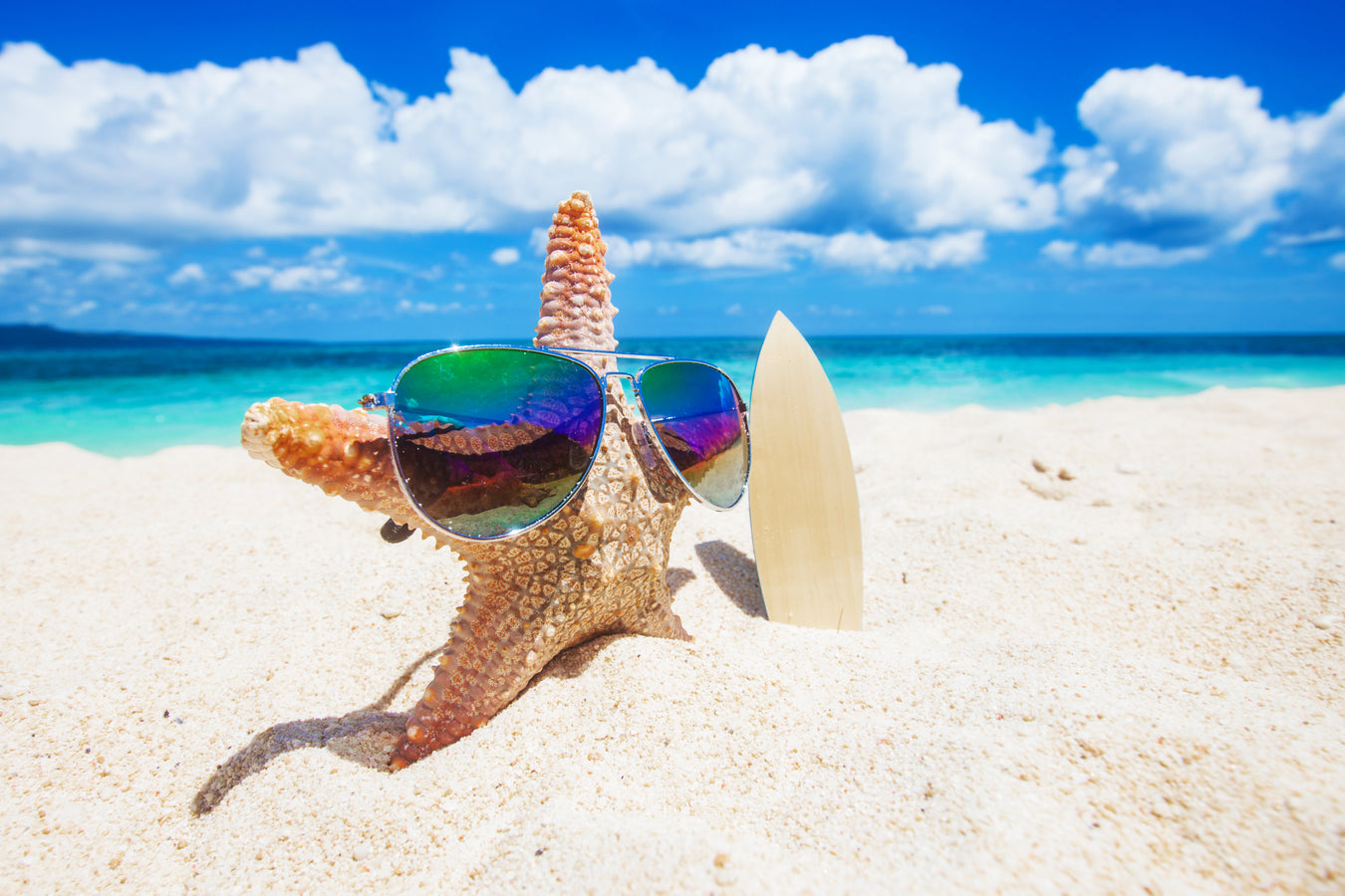 Shop the latest Sunglass Guarantee sunglasses online. Free shipping across USA and guaranteed quality.