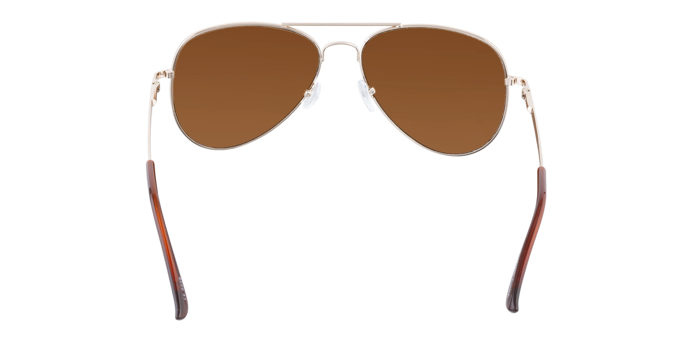 Propeller - Classic Aviator Gold with Brown Tips (Amber)