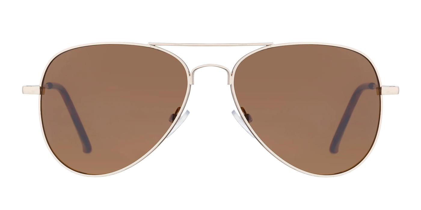 Propeller - Classic Aviator Gold with Tortoise Tips (Amber)